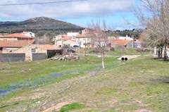 Imagen de BECEDILLAS