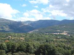 Imagen de BOHOYO