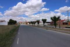 Imagen de CABIZUELA