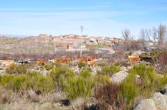 Imagen de GALLEGOS DE ALTAMIROS