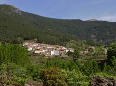 Imagen de GAVILANES