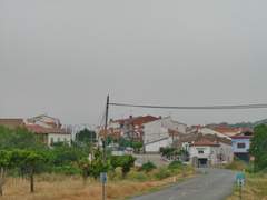 Imagen de HIGUERA DE LAS DUEÑAS