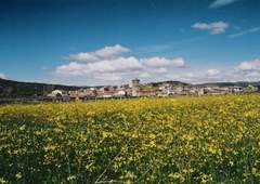 Imagen de MALPARTIDA DE CORNEJA