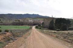 Imagen de MIRONCILLO