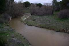 Imagen de NAVA DE ARÉVALO