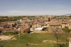 Imagen de ANGUIX