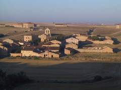 Imagen de AVELLANOSA DE MUÑÓ