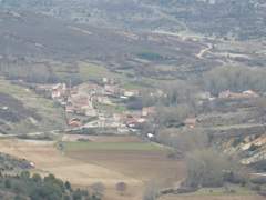 Imagen de CARAZO