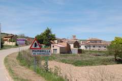 Imagen de MAMBRILLA DE CASTREJÓN