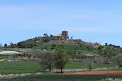 Imagen de MORADILLO DE ROA