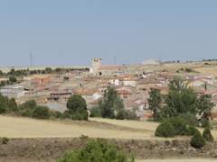 Imagen de PINEDA TRASMONTE