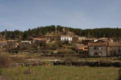 Imagen de RABANERA DEL PINAR