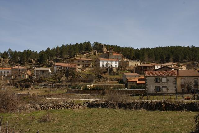 RABANERA DEL PINAR