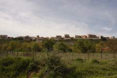 Imagen de ROA