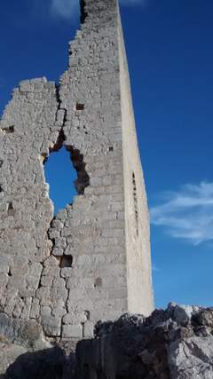 Imagen de ROJAS