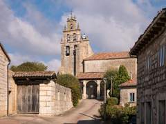 Imagen de RUBENA