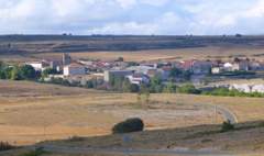 Imagen de SARGENTES DE LA LORA