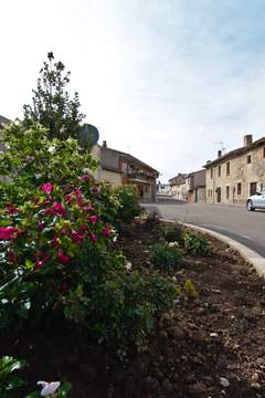 Imagen de VILLALBILLA DE BURGOS