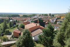Imagen de ALMANZA