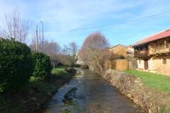 Imagen de BRAZUELO