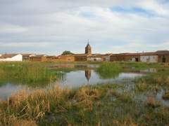 Imagen de EL BURGO RANERO