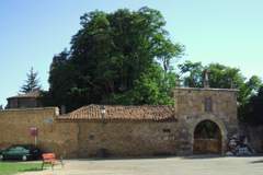 Imagen de CARRIZO