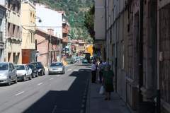 Imagen de CISTIERNA
