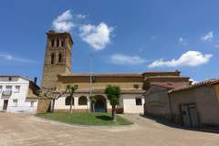 Imagen de JOARILLA DE LAS MATAS