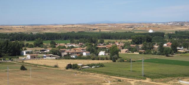 MANSILLA MAYOR