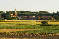 Imagen de VILLAREJO DE ÓRBIGO