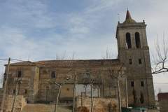 Imagen de AUTILLA DEL PINO