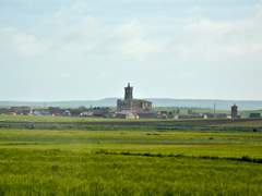 Imagen de AUTILLO DE CAMPOS