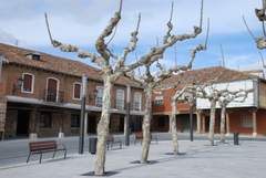 Imagen de HERRERA DE PISUERGA