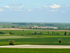 Imagen de MENESES DE CAMPOS