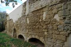 Imagen de NOGAL DE LAS HUERTAS