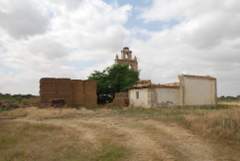 Imagen de PERALES