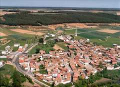 Imagen de PINO DEL RÍO