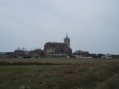 Imagen de TÁMARA DE CAMPOS