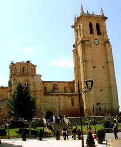 Imagen de VILLAMURIEL DE CERRATO