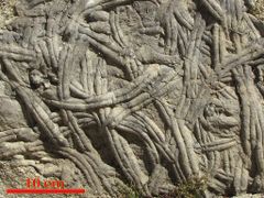 Imagen de LA ATALAYA