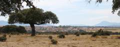 Imagen de CARRASCAL DEL OBISPO