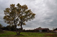 Imagen de CASAFRANCA