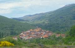 Imagen de CEPEDA