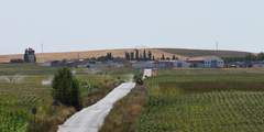 Imagen de CORDOVILLA