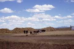 Imagen de MARTÍN DE YELTES