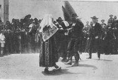 Imagen de ROBLIZA DE COJOS