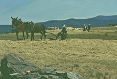 Imagen de SERRADILLA DEL LLANO