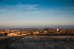 Imagen de CEDILLO DE LA TORRE