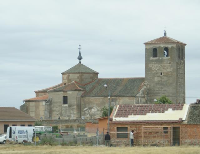 CODORNIZ