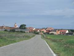 Imagen de RIBOTA